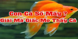 Nằm mơ thấy cá 78win