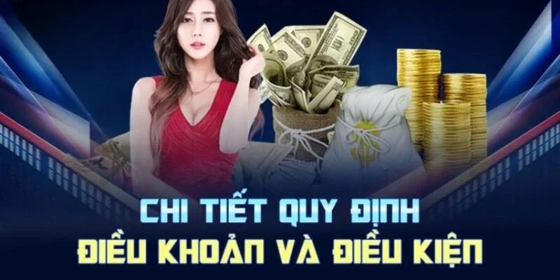 Sơ lược về các điều khoản điều kiện tại nhà cái 78Win